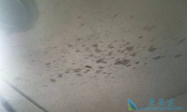 喷射的葡萄汁在天花板留下痕迹