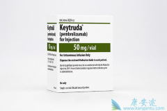 ��ķ����Keytruda�����������Ӧ֢�Ǻ�ɫ����