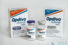 ���䵥��(nivolumab)�����������˫ä�ٴ�����