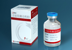 ��ɳ���������ĸ���������Щ��