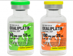 ��ɳ�����ĸ��������뱾���Ķ����������л������ᣨ�Σ��й�