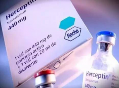 ����͡�����鵥���ļ���Ҫ�����ص���