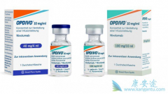 �¼�����׼�����䵥��(nivolumab)�и���ѡ��