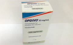 ����ʹ��PD-1���Ƽ�Opdivo����������Щ������