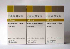 �������������EGFR����ͻ�����Եķ�Сϸ���ΰ���������ҩ��