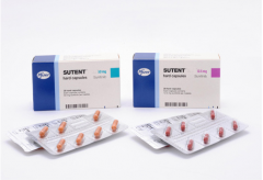 ��������(Sunitinib)ʹNKϸ����B�ܰ�ϸ������