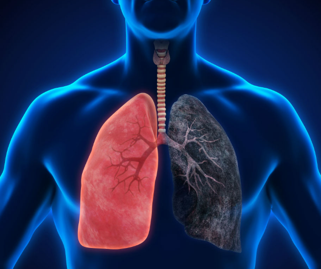 �ΰ���Ⱦ��