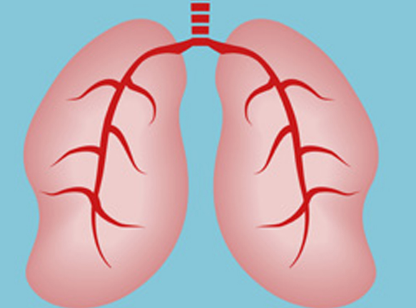 ��Сϸ���ΰ�