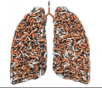 Сϸ���ΰ����Сϸ���ΰ����Ʒ�������