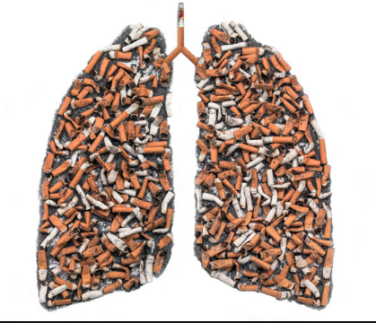 �ΰ����Ʒ���