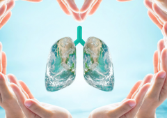 �����ΰ�ת�ƺ����Ҫ��������Щ