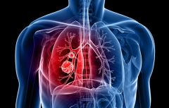 �ΰ�����������Ϊ�����ۺ�����