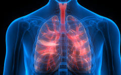 �����ķΰ�������ʳ������Щ���������