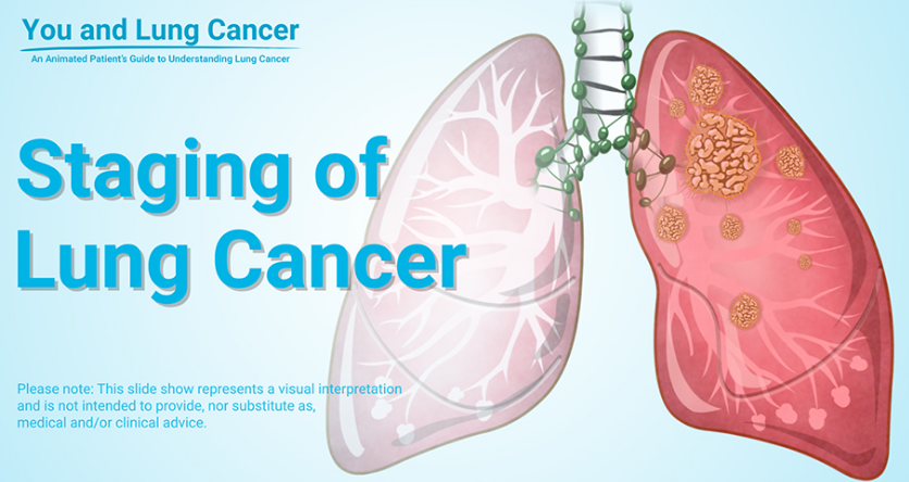 �ΰ�������ʳ