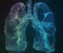 ���ƵĻ��ߵ��˷ΰ����ڳ�ʲô�ûָ�����