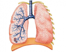 ����;�����ҽ���ܷΰ����˳�ʲô��