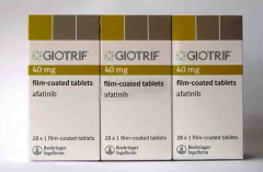 �ΰ�����ҩ��������(GILOTRIF)������