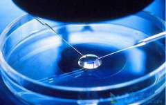 �Թ�Ӥ����ֲ��14�����������Щ����?