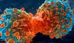 ��֢�ᴫȾ�����������Ѷ��ڰ�֢��һ������