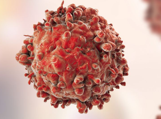 ���������ǰ�֢��