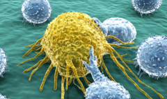 ����;�����ҽ�����������ǰ�֢��