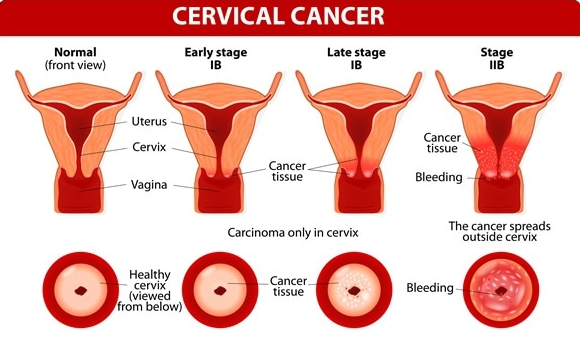 ������֢״