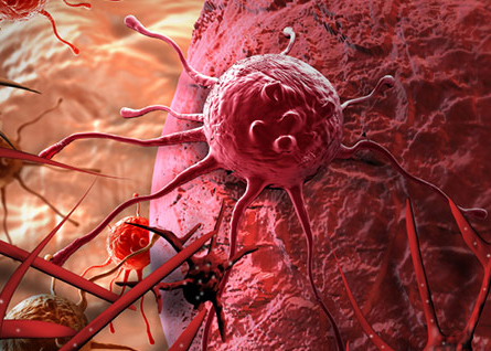 ��֢���Ŵ���