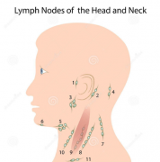 �ܰͽ��״��ǽ�Ϊ���Ե��ܰͰ�֢״