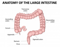 ���غ͸�к�����ױ����Ե�ֱ����֢״