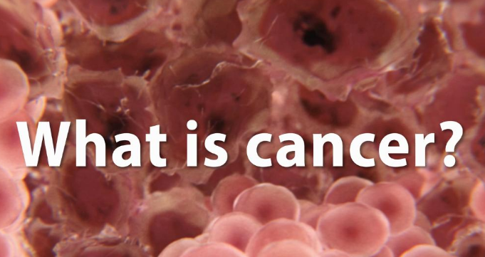 ��֢���κ���