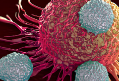 �������ٰ�θ���Ȱ�֢���κ���