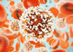 Ŀǰû�п�ѧ�����ܹ�֤����֢�ᴫȾ��