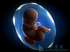 �����Թ�Ӥ��������������Ҫע��ʲô��