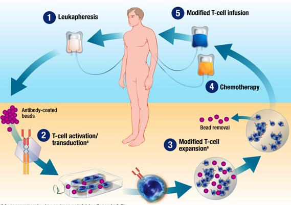 ��֢����