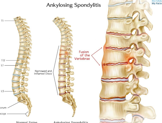 �����İ�֢