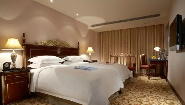 ҽ������