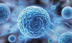 �Թ�Ӥ����������Щ�������������Թ�Ӥ��