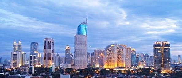 ҽ������