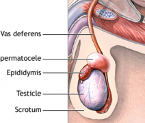 غ���״��Ƿǳ����м��غ�谩֢״