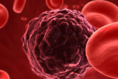 �������������˵��˰�֢��ô��ȽϺ�