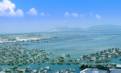 ��������ҽ���������ִ�����ҵ��չ�Ļ���