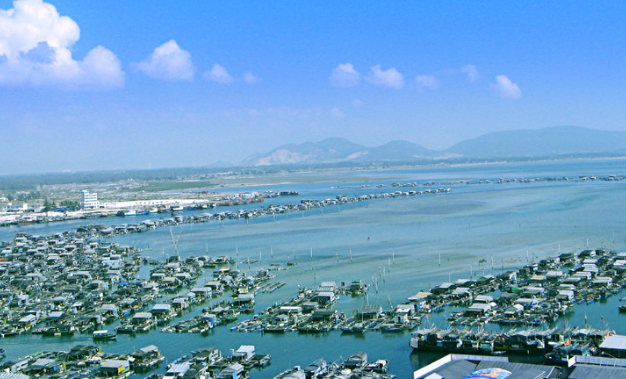 ҽ������