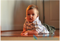 �й�����������ֲ�Թ�Ӥ����������