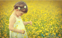 ����˹�Թ�Ӥ�����ĵ���̥��ֲ������?