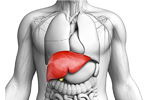 1522140522477652.png blob.png