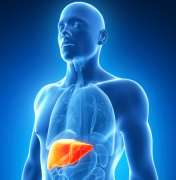 ��������ڶ��ڱ�����ʲô�����˽�