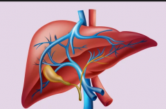 Ϊʲôû�б�������ȴ���Ҹ�����