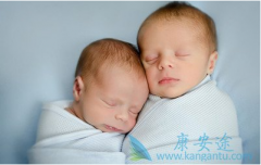 ���ָ����Թ�Ӥ����ֲ��֢״Ҫ��������?