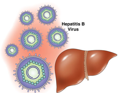 乙肝表面抗体阳性 乙肝表面抗体阳性