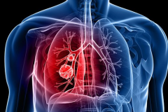 ����;���齫�������������������